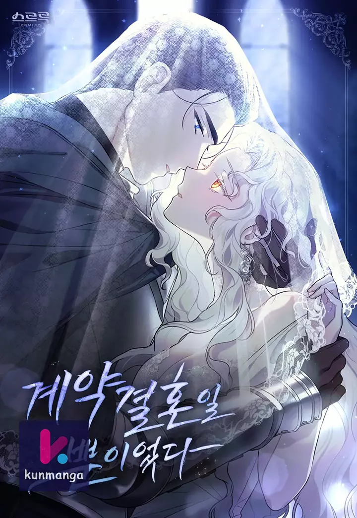 It Was Just a Contract Marriage cover