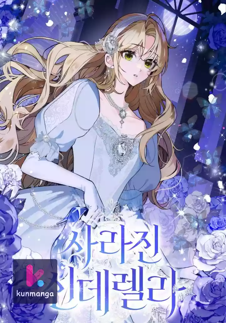 The Lost Cinderella cover