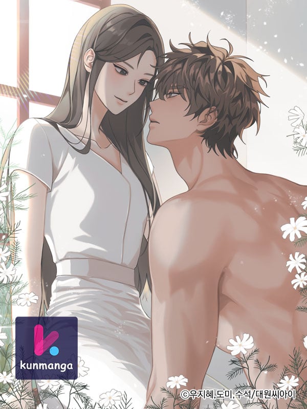 11336 cover