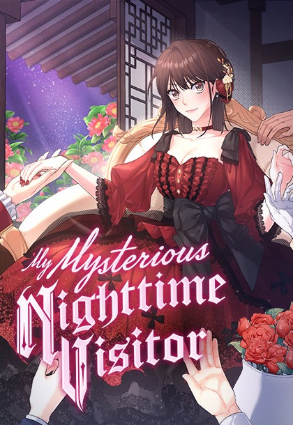 My Mysterious Nighttime Visitor cover