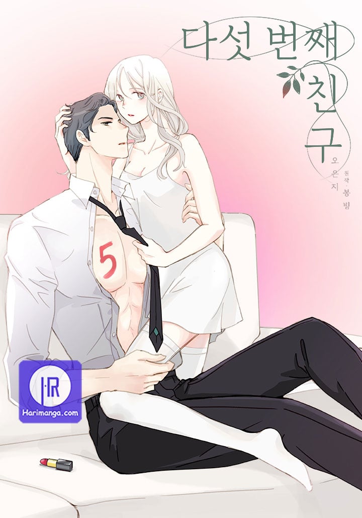 The Fifth Friend cover