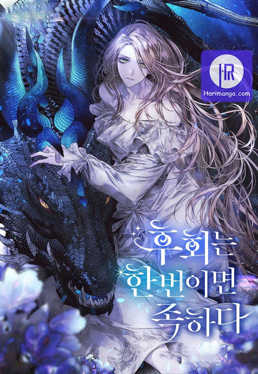 One Regret Is Enough cover