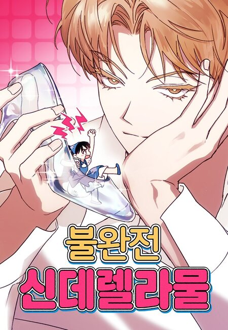 Imperfect Cinderella Story cover