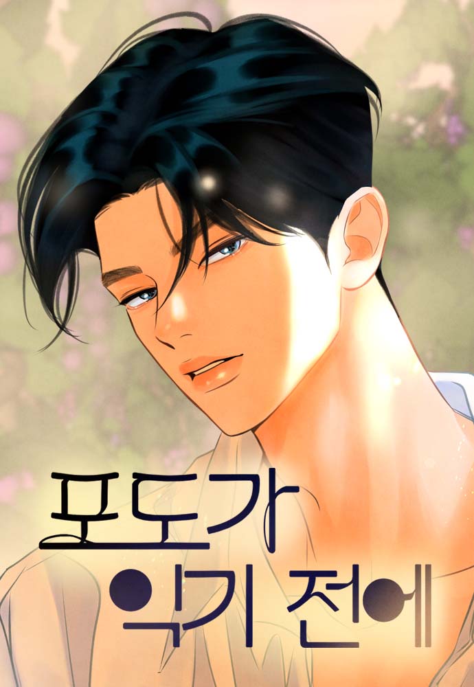 Before The grapes Ripen cover